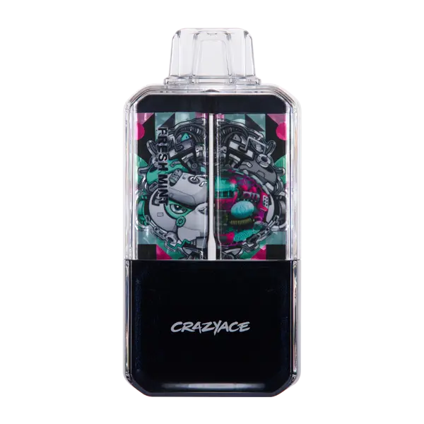 BUY 1 GET 1 FREE Fresh Mint Crazy Ace B15000 | Vape Amazon India Crazy Ace